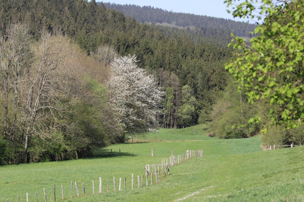 Le Clos Du Cerf - Silence & Nature Stoumont Eksteriør bilde